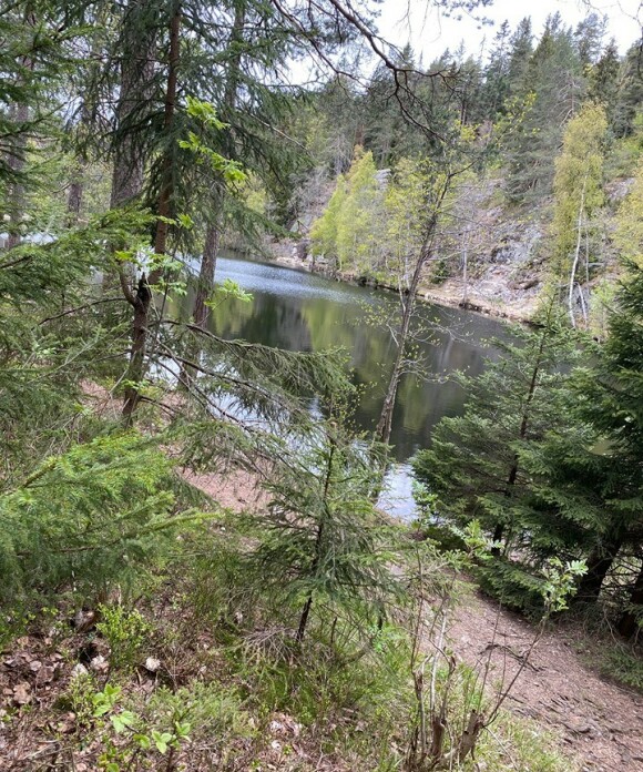 IDYLLISK: Her, ved Båntjern i Nordmarka, lå teltet til duoen. Midt på natta fikk de besøk av en ubuden gjest, som hadde en knivlignende gjenstand. Foto: Privat IDYLLISK: Her, ved Båntjern i Nordmarka, lå teltet til duoen. Midt på natta fikk de besøk av en ubuden gjest, som hadde en knivlignende gjenstand. Foto: Privat